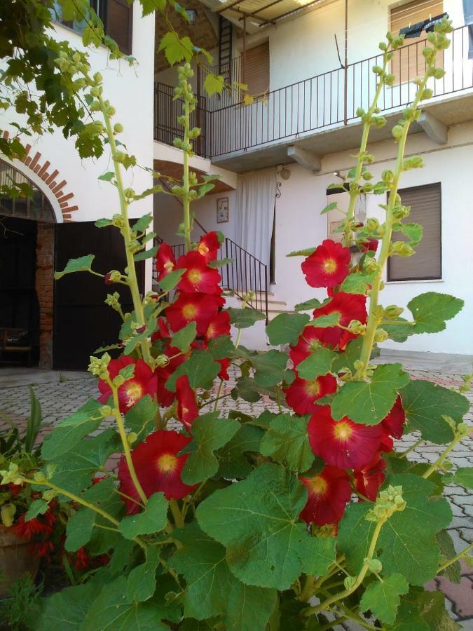 아스티 Casa Aromi Ed Arte 게스트하우스 외부 사진
